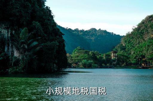 小規(guī)模的國稅是什么，營改增后國稅小規(guī)模納稅稅種有哪些