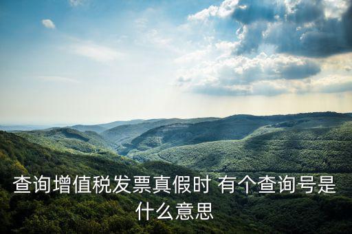 陜西省發(fā)票查詢號(hào)是什么意思，電子發(fā)票號(hào)碼是什么意思