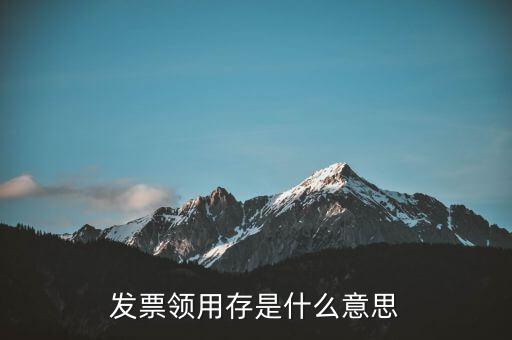發(fā)票領(lǐng)用信息是什么，發(fā)票領(lǐng)用存是什么意思