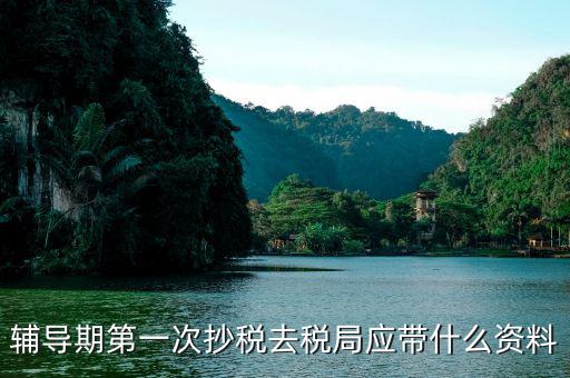 去稅務局抄稅需要帶什么，去稅務局抄稅帶哪些