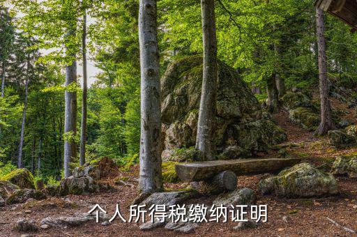 個人稅務(wù)證明是什么，什么是個人納稅證明