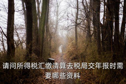 公司稅務(wù)年報(bào)需要什么，問(wèn)企業(yè)所得稅年報(bào)怎么報(bào)需要什么資料