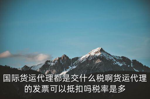 貨代公司交什么稅，國(guó)際貨運(yùn)代理都是交什么稅啊貨運(yùn)代理的發(fā)票可以抵扣嗎稅率是多