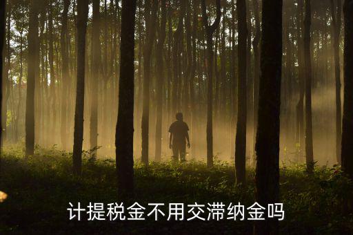 什么稅沒(méi)有滯納金，各種稅的滯納金一樣么
