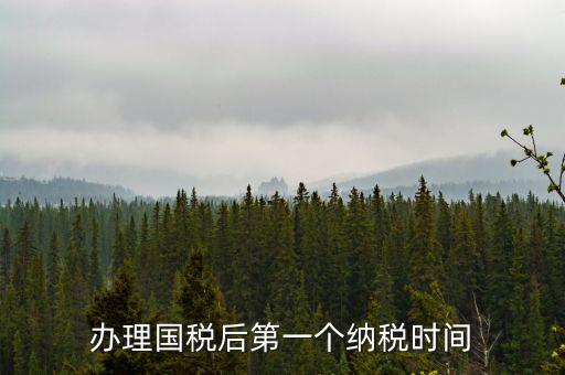 報(bào)稅后什么時(shí)候交稅，辦理國(guó)稅后第一個(gè)納稅時(shí)間