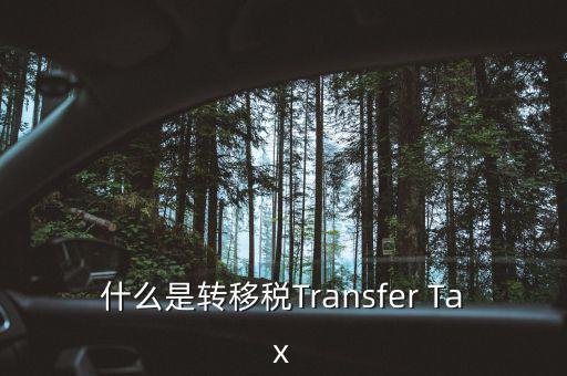 什么是跨地區(qū)稅收轉(zhuǎn)移企業(yè)，什么是轉(zhuǎn)移稅Transfer Tax