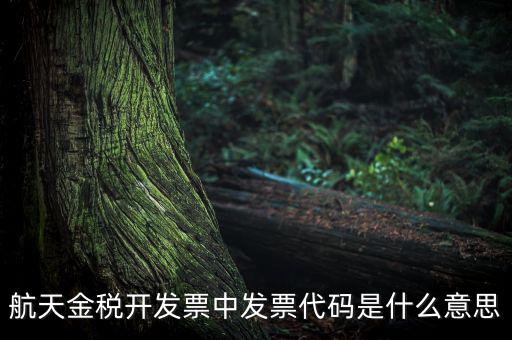 增值稅的航天編碼是什么，航天金稅 自動開票 怎么獲取 發(fā)票代碼 發(fā)票號碼