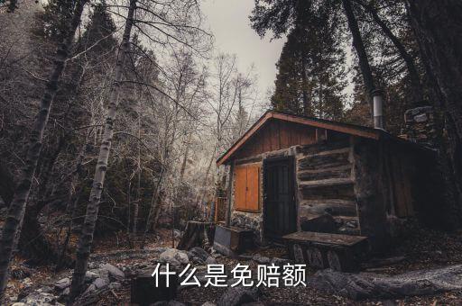 什么是免抵調(diào)庫(kù)，什么叫保險(xiǎn)理賠免調(diào)查件