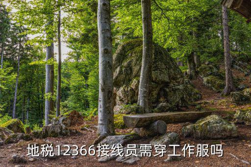 12366地稅主要負責什么，地稅是指什么