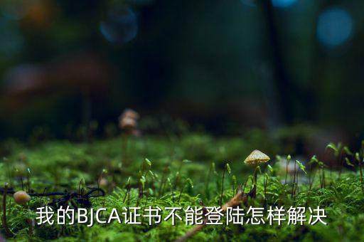 為什么ca證書不能登錄，我的BJCA證書不能登陸怎樣解決