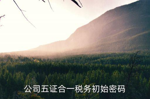 稅務(wù)原始密碼是什么，稅務(wù)管理碼密碼默認(rèn)是多少