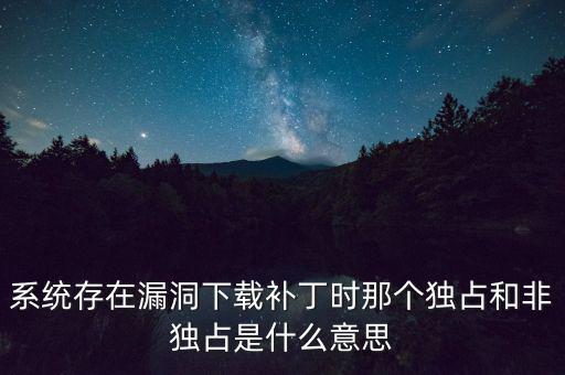 系統(tǒng)存在漏洞下載補(bǔ)丁時那個獨占和非獨占是什么意思