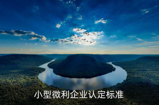 小型微利企業(yè)認定標準是什么，小型微利企業(yè)認定標準