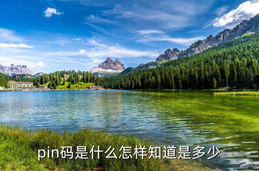 稅控盤pin碼是什么意思，pin碼是啥碼