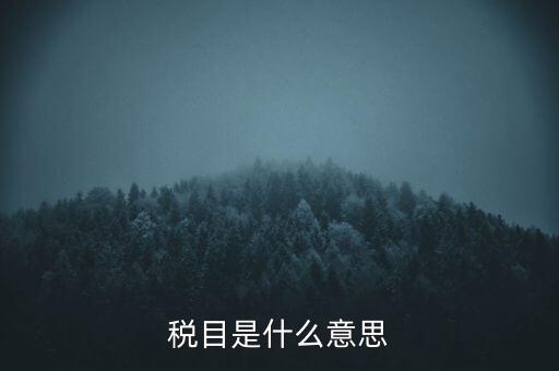 增值稅稅目是什么，增值稅是什么稅是什么