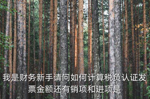 認證業(yè)務是什么稅種，一般納稅人認證企業(yè)每個月最低要繳多少稅有哪些稅新注冊公司是