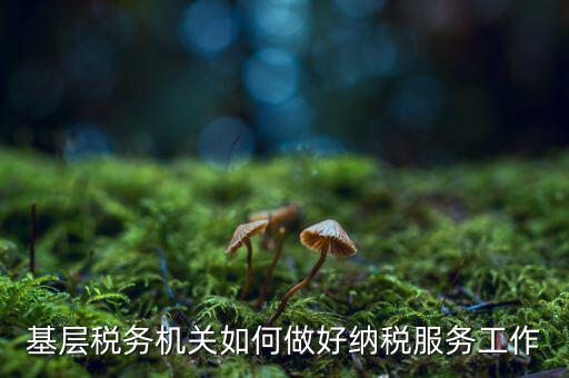 基層稅務機關(guān)如何做好納稅服務工作