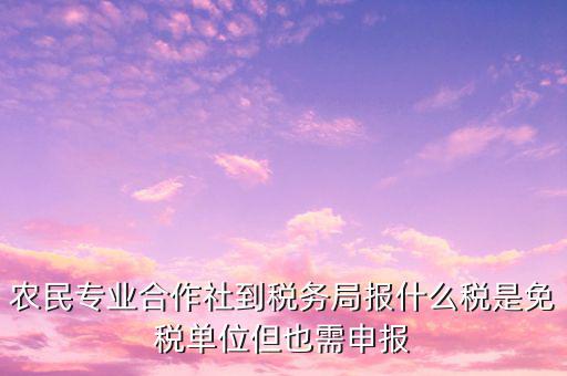 農(nóng)村合作社交什么稅，農(nóng)民合作社每個月要申報什么稅