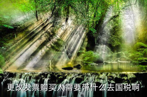 更改發(fā)票價格需要帶上什么東西，變更發(fā)票購買人需要帶什么東西去稅務局