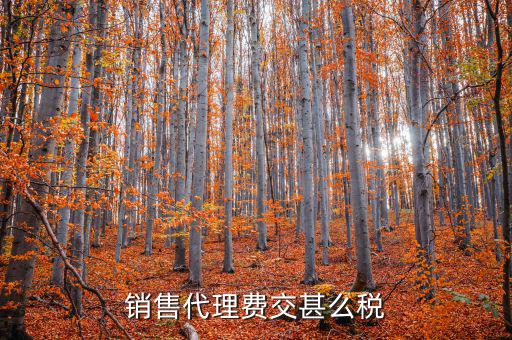 代理費(fèi)繳納什么稅，銷售代理費(fèi)交甚么稅