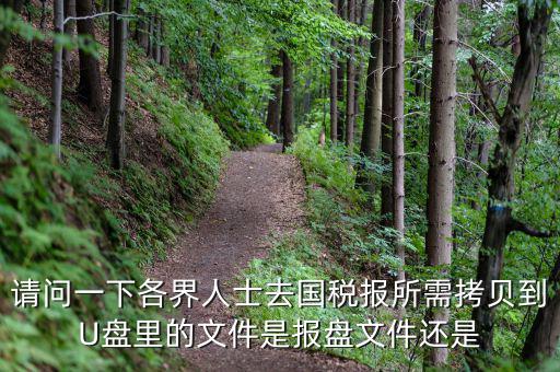 稅務(wù)報(bào)盤文件是什么，請(qǐng)問一下各界人士去國(guó)稅報(bào)所需拷貝到U盤里的文件是報(bào)盤文件還是
