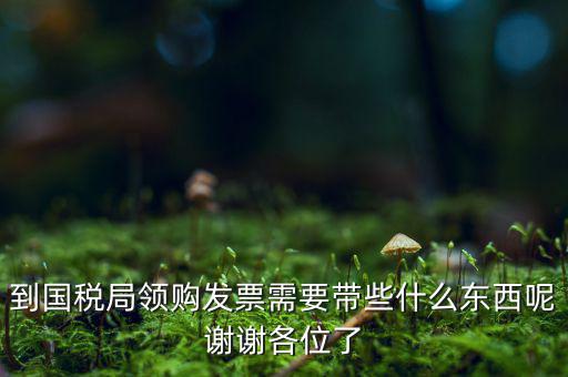 國稅局領(lǐng)票帶什么東西，去稅務(wù)局領(lǐng)發(fā)票需要帶什么資料去