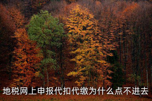 地稅從租計征為什么無法點開，地稅網上申報代扣代繳為什么點不進去