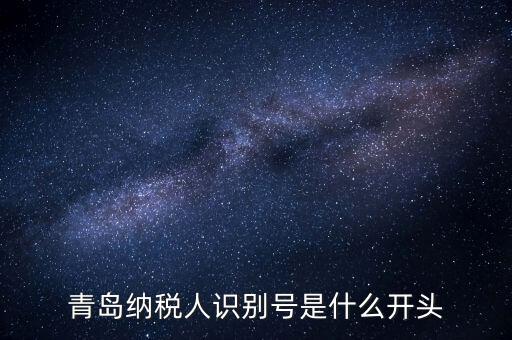 納稅人識別號什么開頭，納稅人識別號330100開頭的是哪個地方的