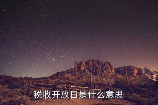 國稅開放日是什么意思，稅收開放日是什么意思