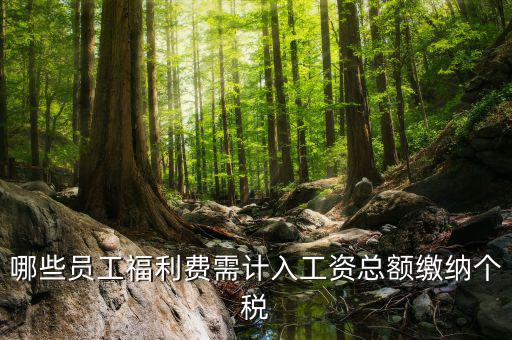 什么樣的福利費(fèi)要交個(gè)稅，什么樣的福利費(fèi)不需要交納個(gè)人所得稅呢