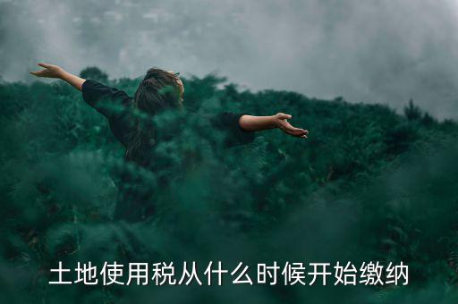 城鎮(zhèn)土地使用稅什么時候交，房地產(chǎn)開發(fā)企業(yè)繳納城鎮(zhèn)土地使用稅的時間是多久