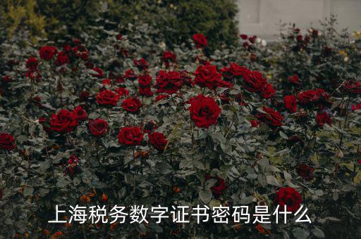 稅務(wù)數(shù)字證書密碼是什么，稅務(wù)密鑰是什么東西是數(shù)字證書嗎