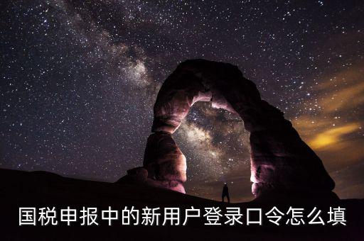 國稅用戶口令是什么，我想問下國家稅務網(wǎng)上申報點擊安全登錄時出現(xiàn)的用戶口令是什么