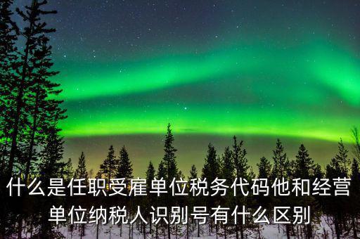 報稅自然人識別號是什么，個稅申報顯示存在相同唯一識別號是什么意思