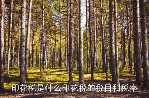印花稅且什么稅，印花稅屬于什么稅種