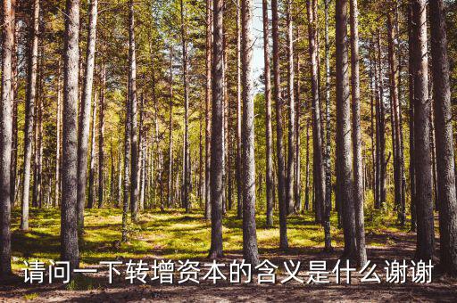 什么是利潤轉(zhuǎn)增資，什么叫轉(zhuǎn)增資本通俗一點越白話越好