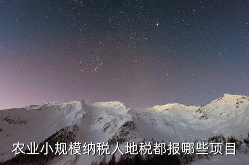 地稅農(nóng)產(chǎn)品需要報(bào)什么，農(nóng)業(yè)小規(guī)模納稅人地稅都報(bào)哪些項(xiàng)目