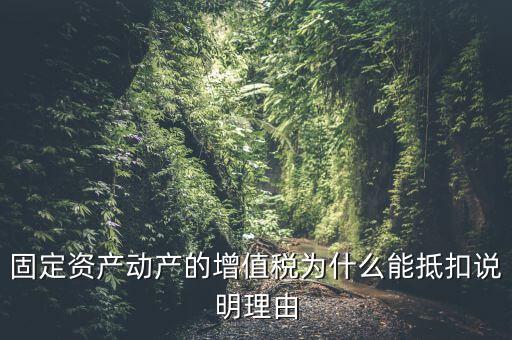 為什么用固定資產(chǎn)抵稅，固定資產(chǎn)抵稅問題