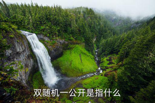 什么是稅務(wù)稽查雙隨機(jī)，會(huì)計(jì)基礎(chǔ)知識(shí)什么是稅務(wù)稽查
