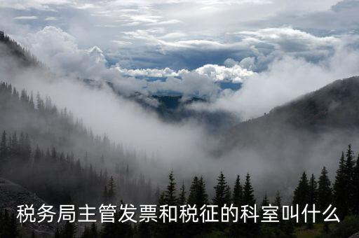 國(guó)稅稅務(wù)局都有什么科，稅務(wù)局主管發(fā)票和稅征的科室叫什么