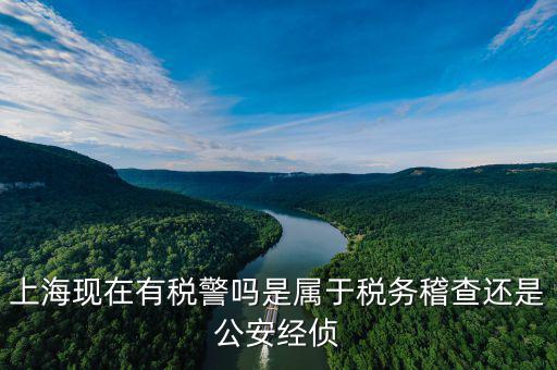 稅警機(jī)制辦公室干什么，上?，F(xiàn)在有稅警嗎是屬于稅務(wù)稽查還是公安經(jīng)偵
