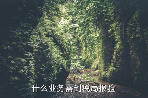 什么是稅務(wù)報(bào)驗(yàn)，地稅發(fā)票報(bào)驗(yàn)是什么回事啊 怎么報(bào)驗(yàn)什么時(shí)候報(bào)驗(yàn)啊