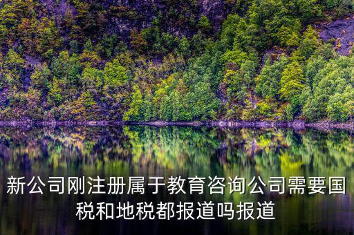 教育咨詢納什么稅，請(qǐng)問(wèn)從教育事業(yè)的公司要納稅嗎