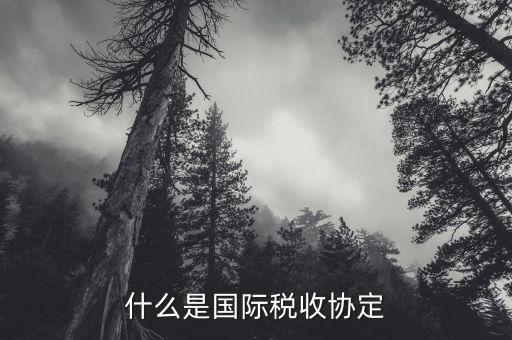 稅收協(xié)定183天什么意思，183天需要代扣代繳個(gè)人所得稅嗎