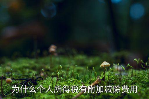 個稅減除費(fèi)用是什么，個人所得稅費(fèi)用扣除什么意思