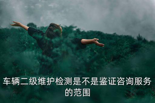 車(chē)輛二級(jí)維護(hù)檢測(cè)是不是鑒證咨詢服務(wù)的范圍