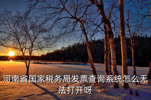 河南一體化辦稅為什么辦不成，河南省國家稅務(wù)局發(fā)票查詢系統(tǒng)怎么無法打開呀