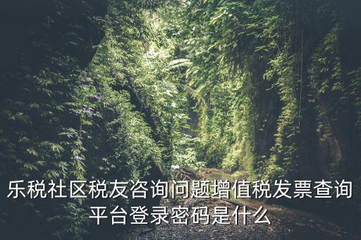 發(fā)票認證平臺登陸密碼是什么，國稅局發(fā)票軟件里用戶代碼和密碼是什么