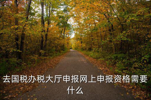 國稅網(wǎng)上申報(bào)用什么資料，去國稅辦稅大廳申報(bào)網(wǎng)上申報(bào)資格需要什么