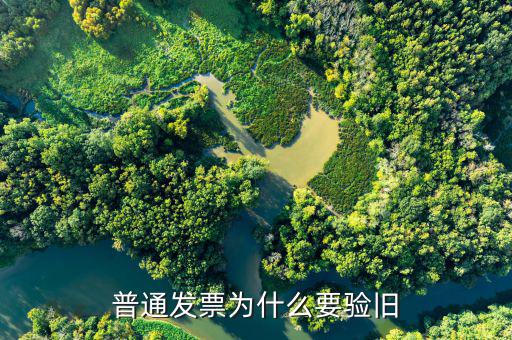 普票驗(yàn)舊驗(yàn)什么，發(fā)票驗(yàn)舊是什么意思